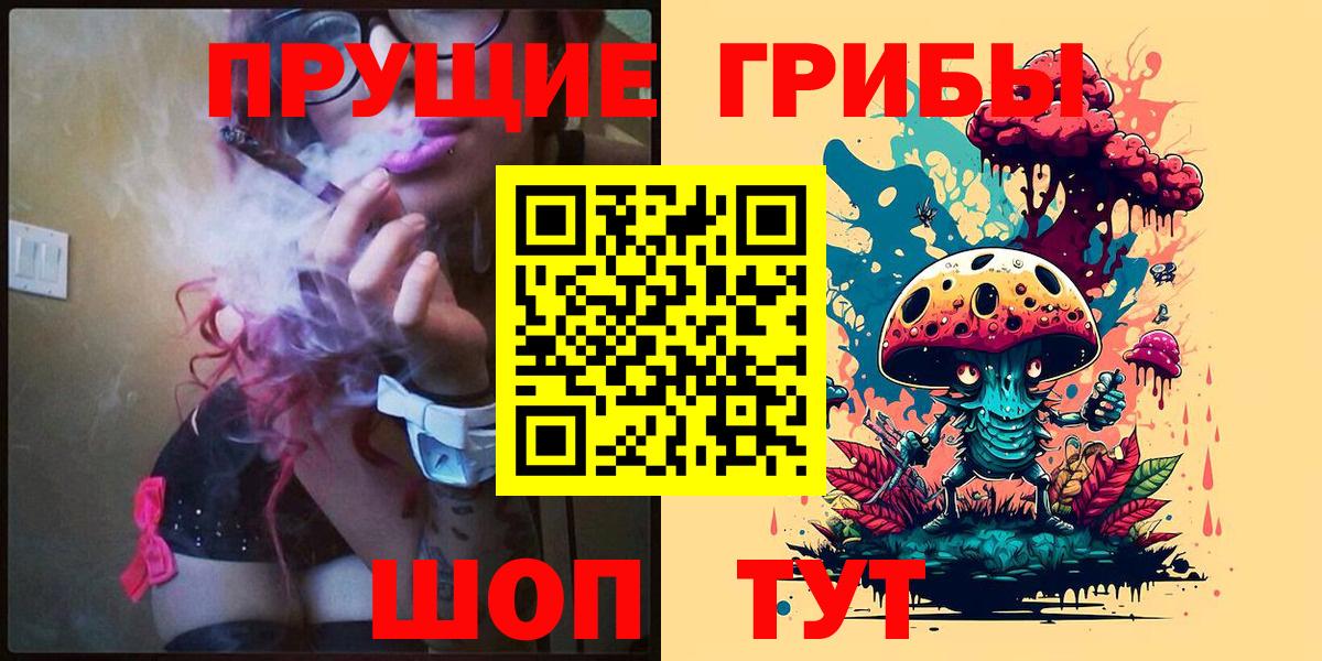 Галлюциногенные грибы прущие грибы  Псилоцибиновые грибы ЛСД  Зеленодольск  наркошоп  Вход с VPN 