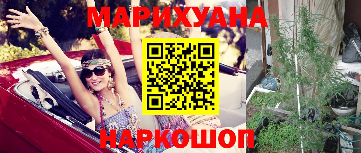 Шишки марихуана сатива Зеленодольск